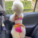 @ava667773