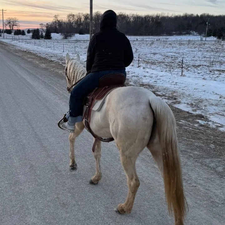 yeehaws.andhellnaws