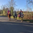 @kerriethegreatbigberry