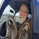 @wrfunnyvideos