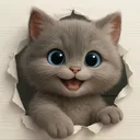 @elhyrona