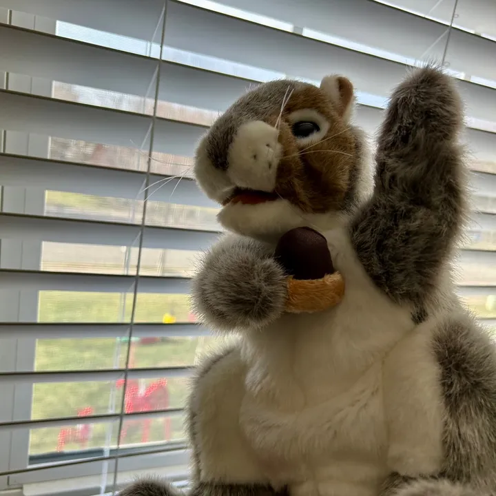 hazelnutthesquirrel