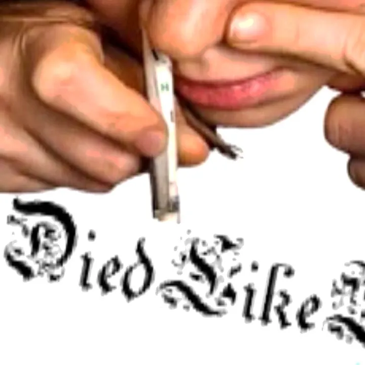diedlikethis