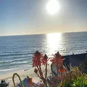 @socaleat