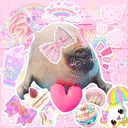 @justasealhere