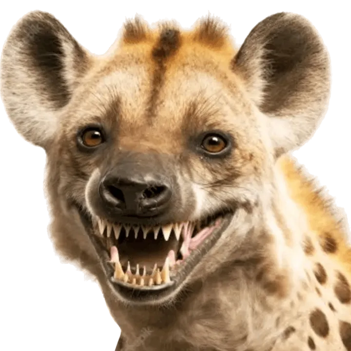 selvageriaanimal
