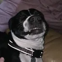 @lifewitharedhead1