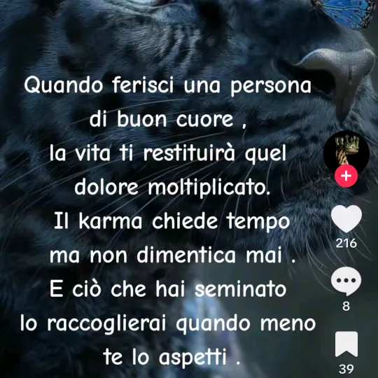 caterinabondanese