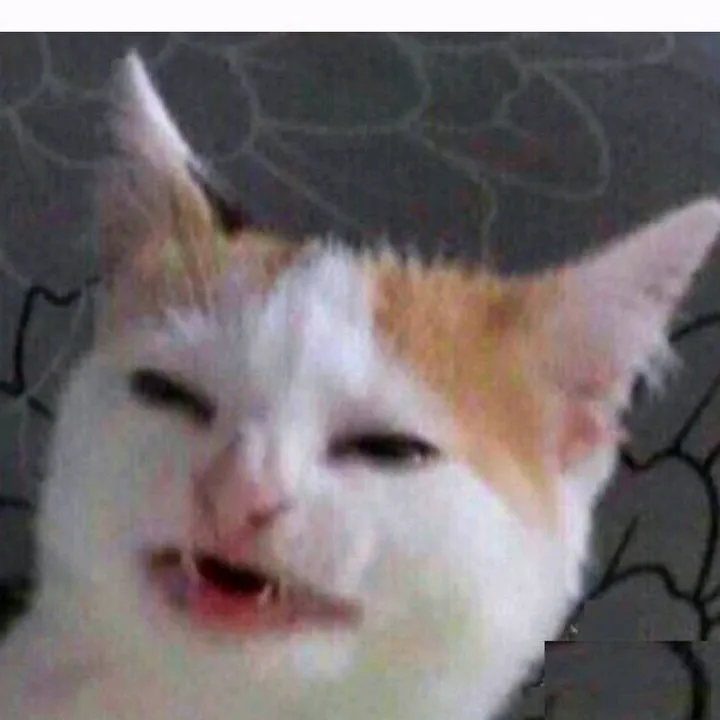 memes_depot1945