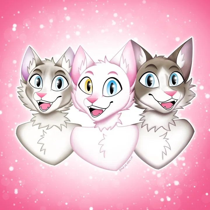thefancycatsworld
