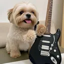 @maynnsfc924