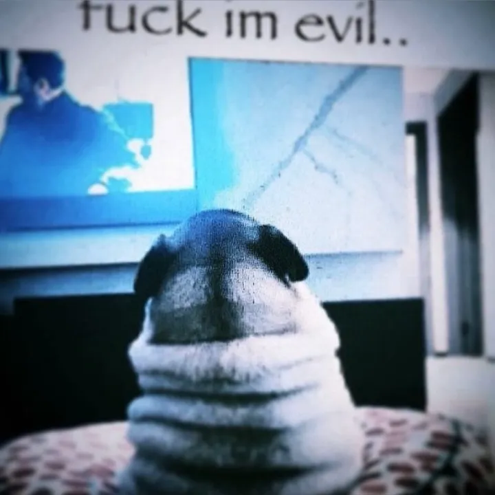 @echeid