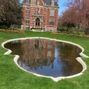 @rysmann6
