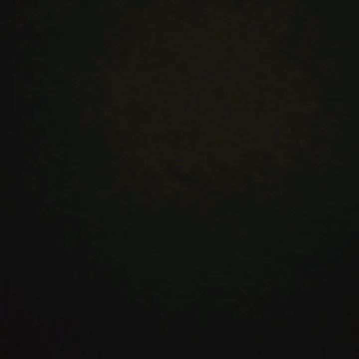 @pruvato2847
