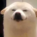 @songstatusvibes