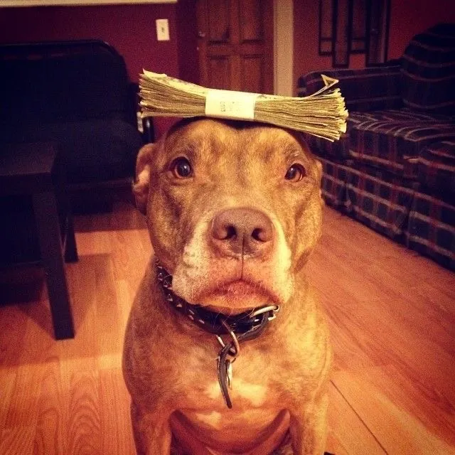 maskedpotato