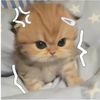 sleep_e0