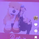 @skylinegangcult
