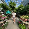 plantsbyfern