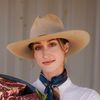 lilyhillcattle