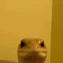 @zyrowv1