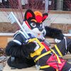 lucofoxxo