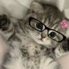 user_unknownj1