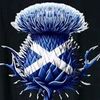 liammacgregor49