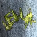 @casualtreehugger