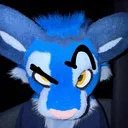 @benjithebluetiger