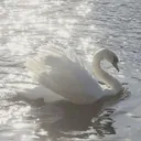 @diorxq._