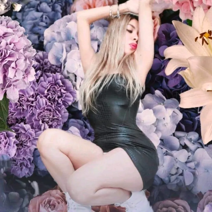 nanyscarbentecv