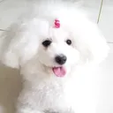 @furbaby6biniu