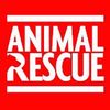 rescued.animals.u
