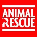 @rescued.animals.u
