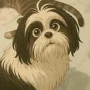 @coco_shihtzu_1
