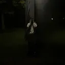 @living_yk