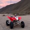 artemx33