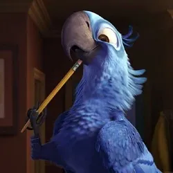 @riothebird122