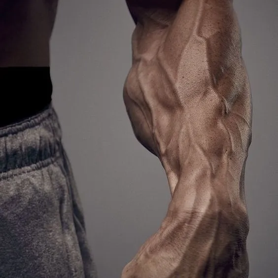@rookietobeast0