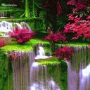 @belezanatureza64