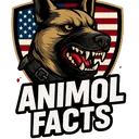 @animolfacts