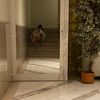alessiaisaia03