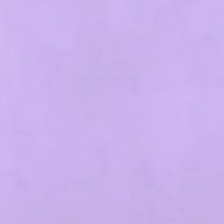 @4n_4cc0un67