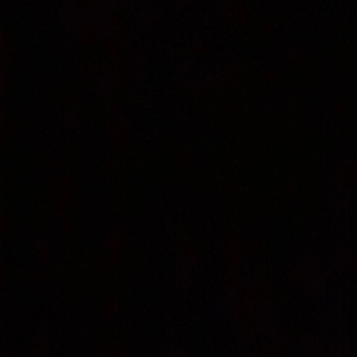 ):🐆 - original sound
