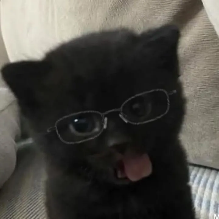 @d4k_void