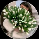 @dareen.ali882