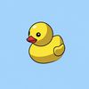 itzluckyducky