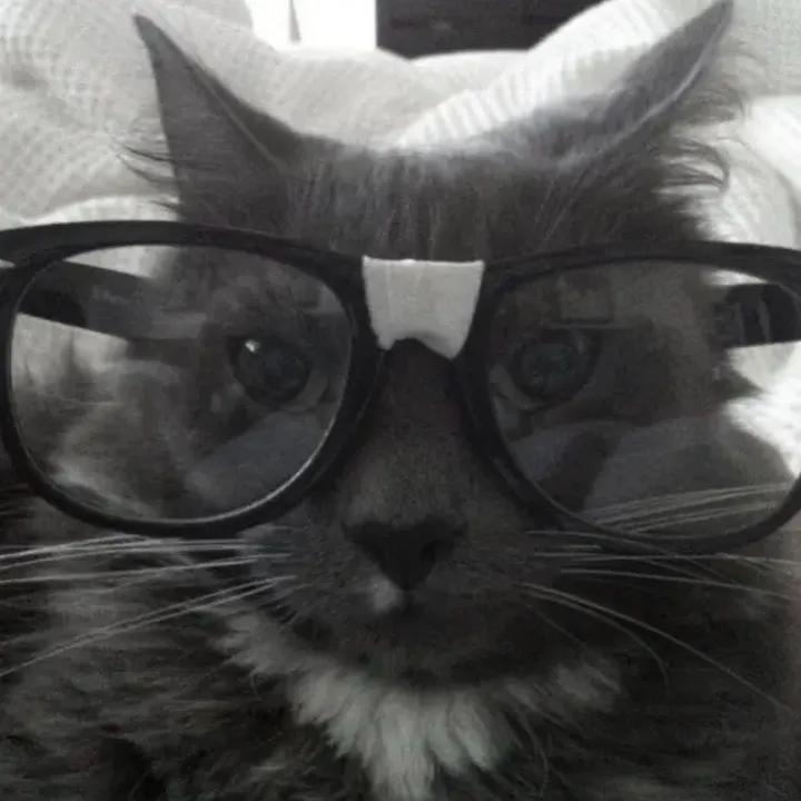 jazzyycatt