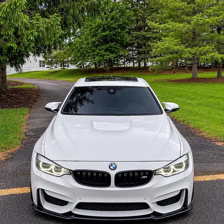 alpinef8x